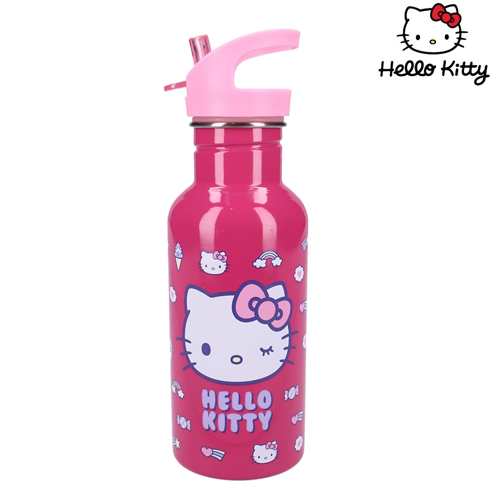 Rostfri dricksflaska för barn Hello Kitty Take A Sip