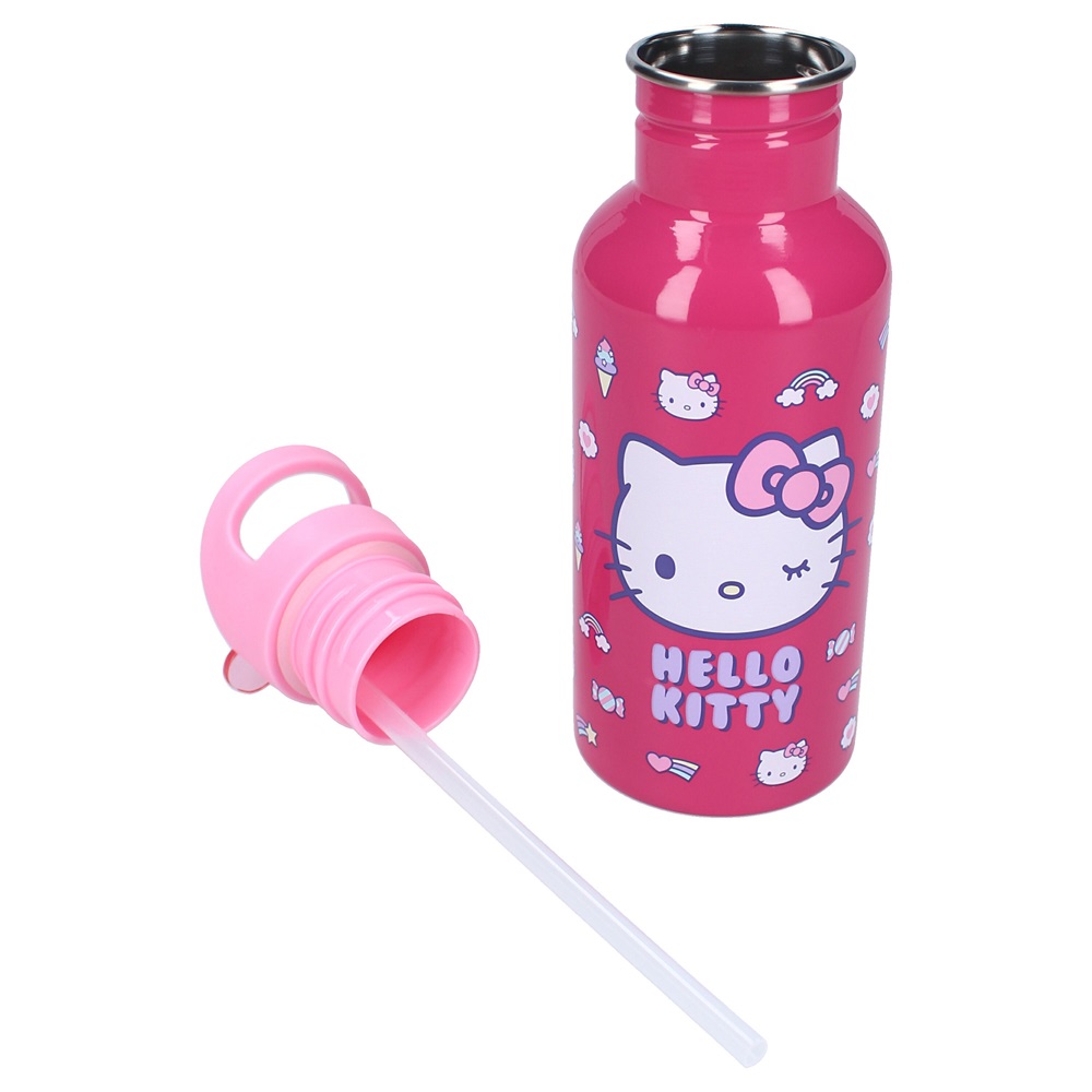 Rostfri dricksflaska för barn Hello Kitty Take A Sip