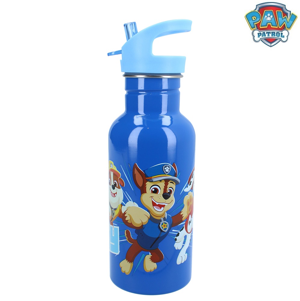 Rostfri dricksflaska för barn Paw Patrol Take A Sip