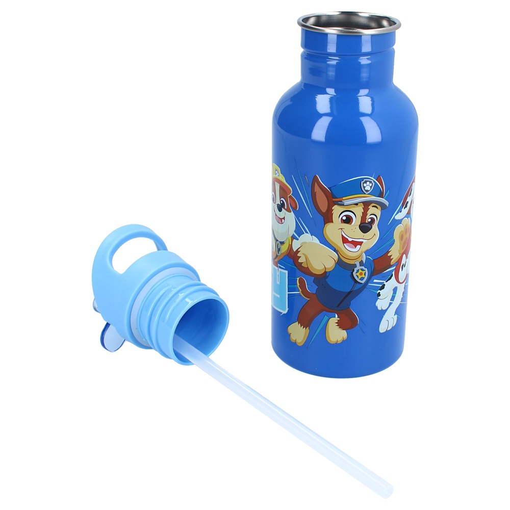 Rostfri dricksflaska för barn Paw Patrol Take A Sip