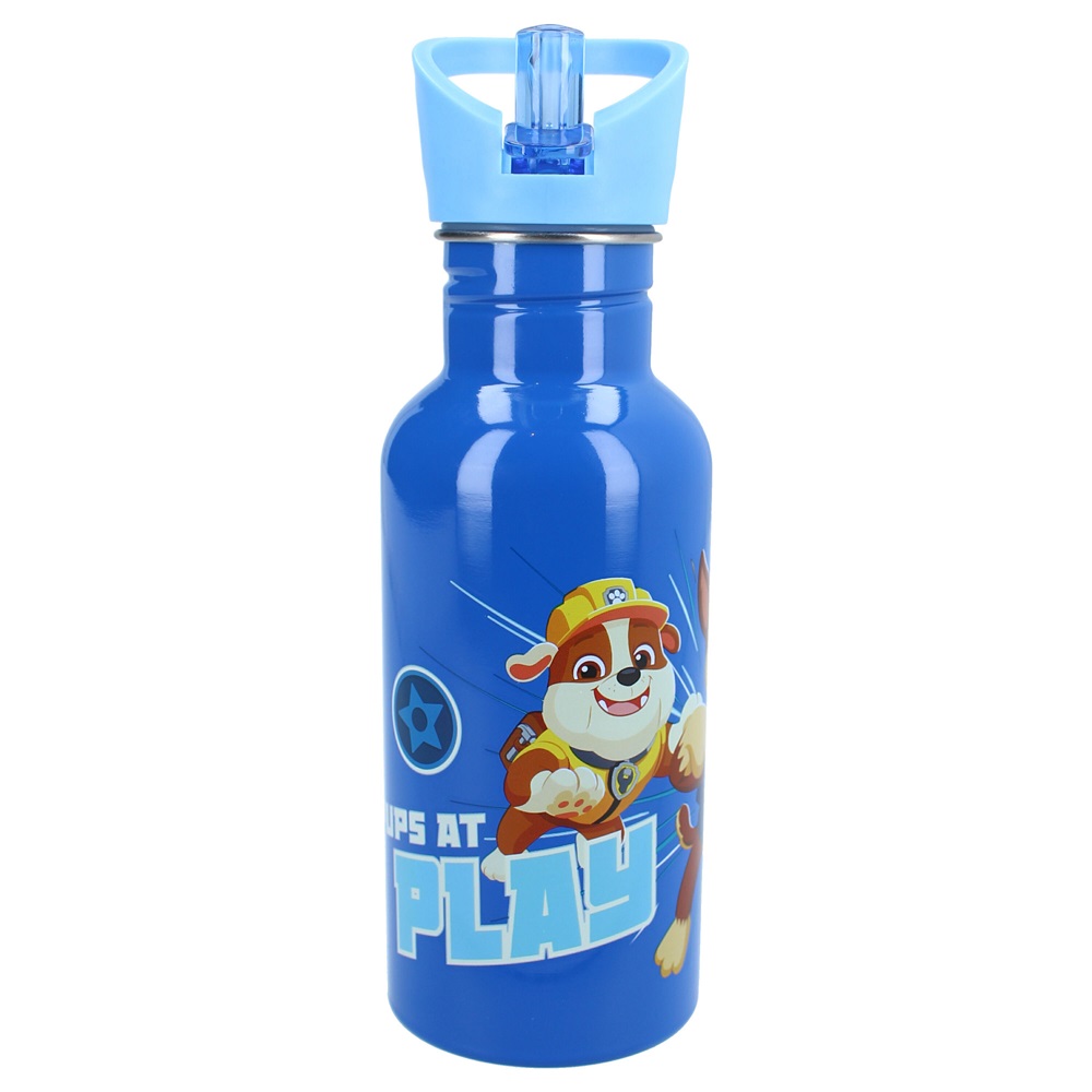 Rostfri dricksflaska för barn Paw Patrol Take A Sip