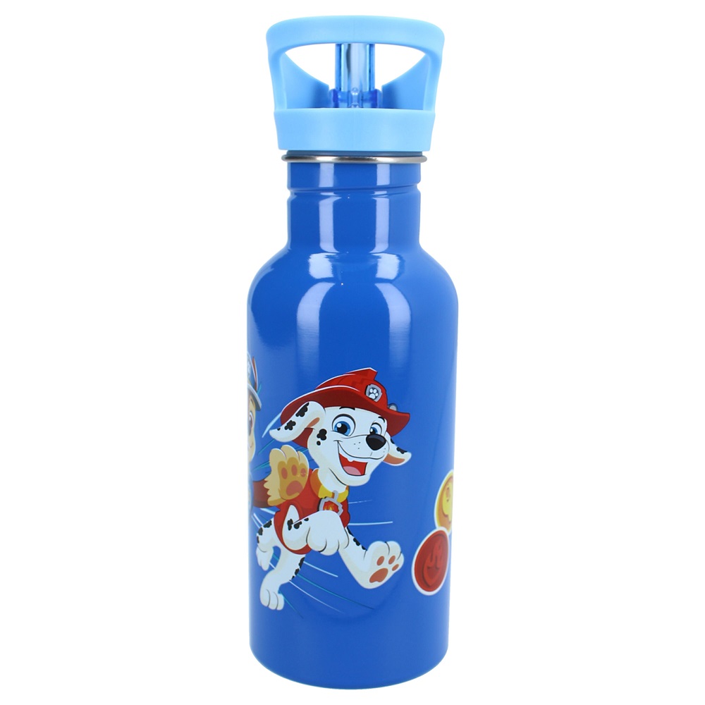 Rostfri dricksflaska för barn Paw Patrol Take A Sip